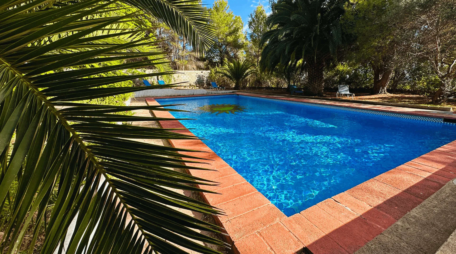 Farm pool framed by palm trees, used for pool and chill time during the Fitness & Wellness Day at EkkoFarm organic farm in Bétera, Valencia
